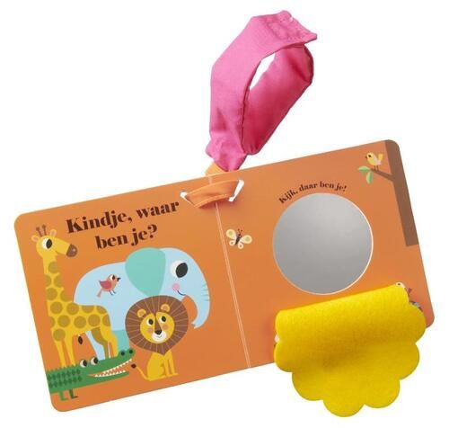 Buggyboekje waar ben je?, Kleur: leeuw