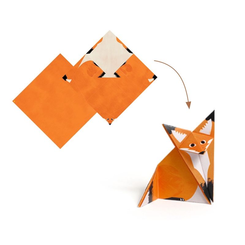 Djeco knutselpakket origami boswandeling  7-12 jaar