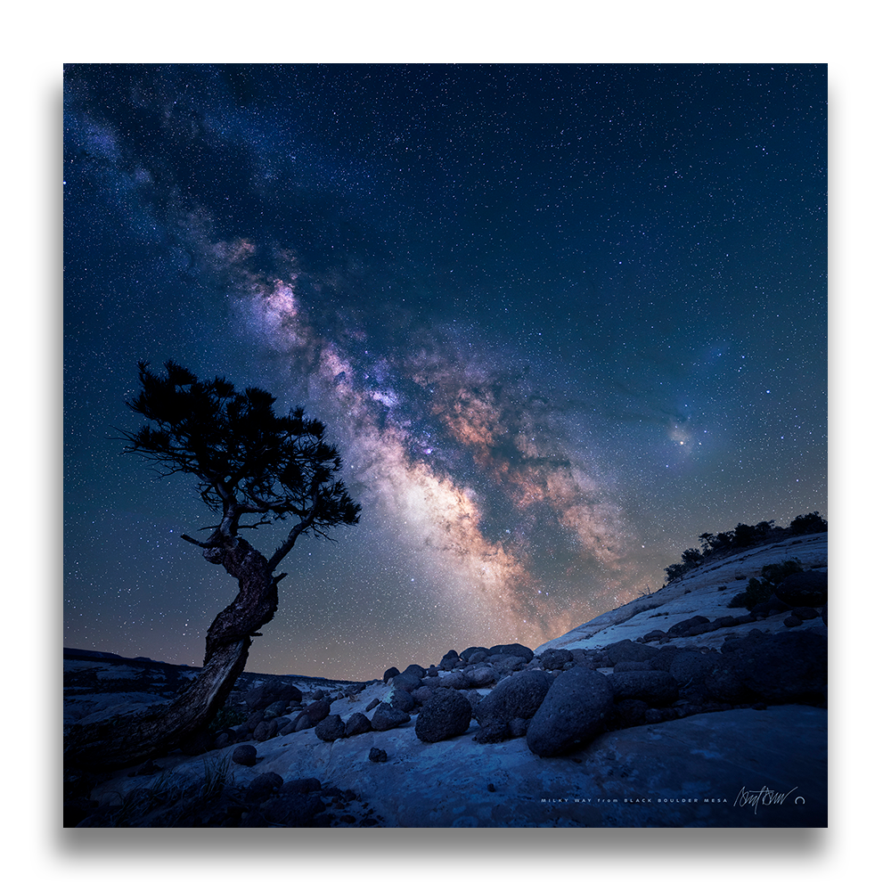 Milky Way with Pinon Pine, Available Sizes: 24" Metal Mount
