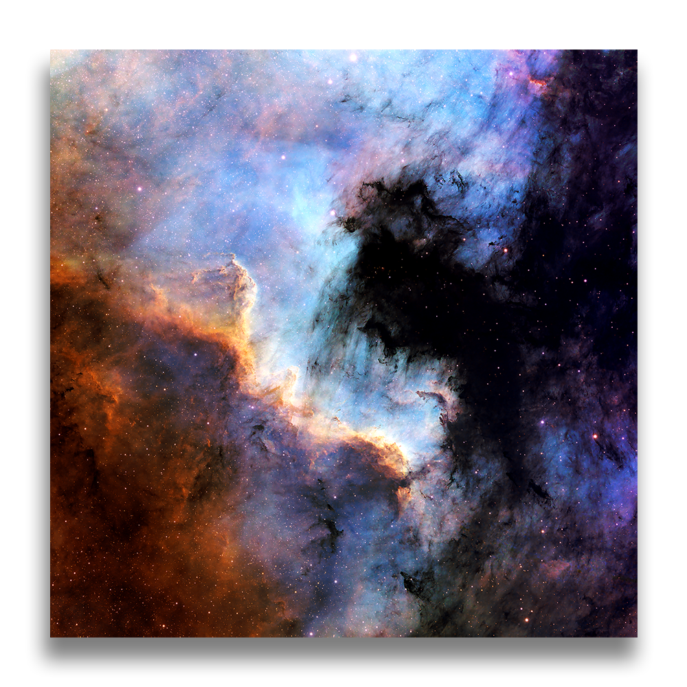 CYGNUS WALL