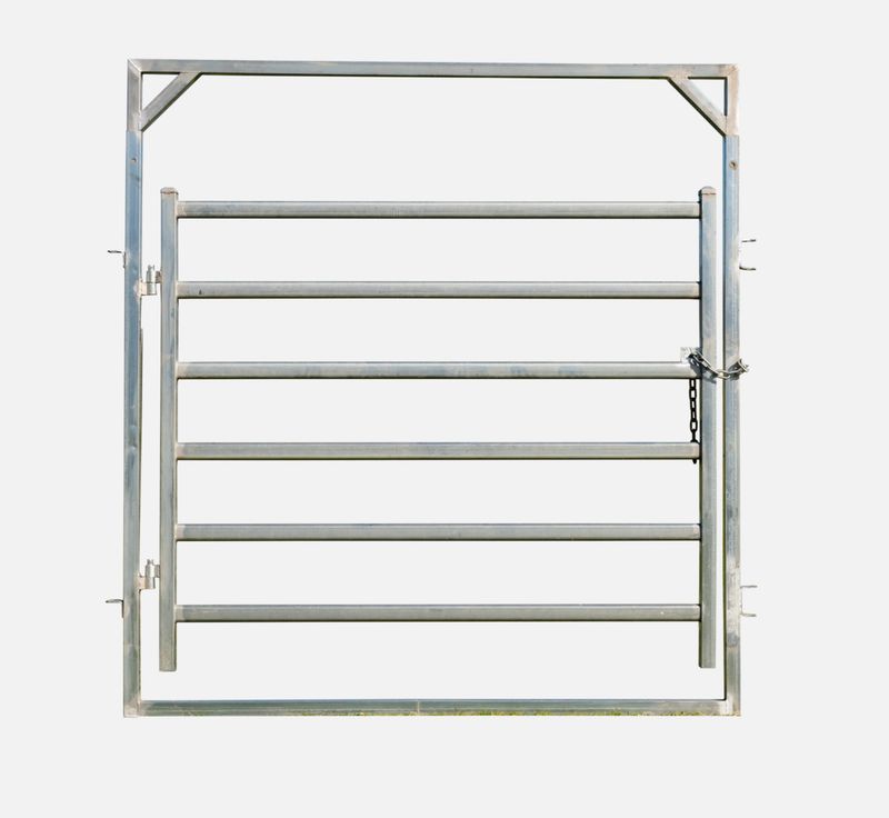 60x30 Cattle Inframe Gate