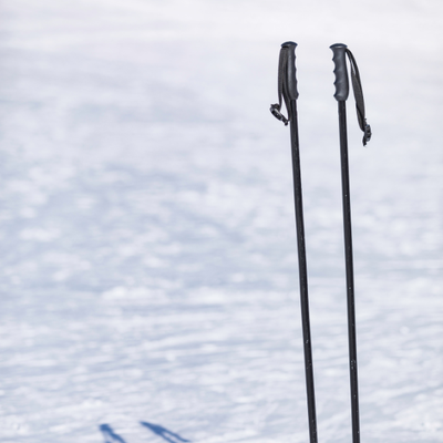 Ski Poles/Trekking Poles