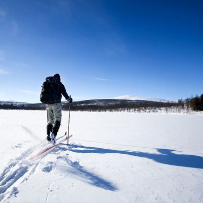 Cross Country Skis
