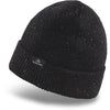 NEW Dakine Axel Beanie OS