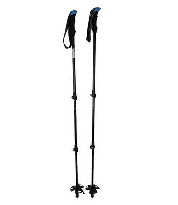 NEW 4-Season Adjustable Ski Poles