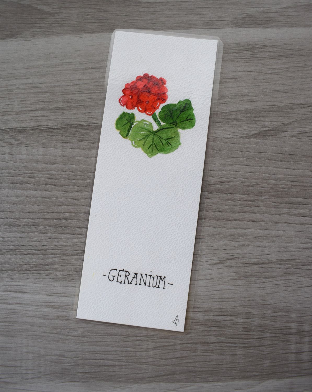 Bladwijzer geranium