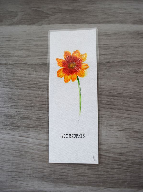 Bladwijzer coreopsis