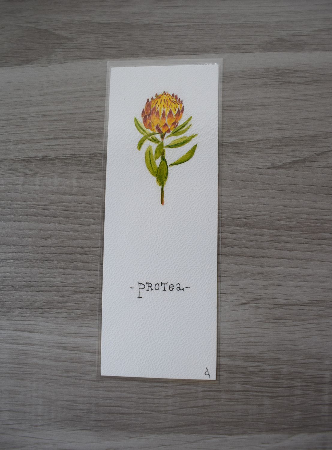 Bladwijzer protea