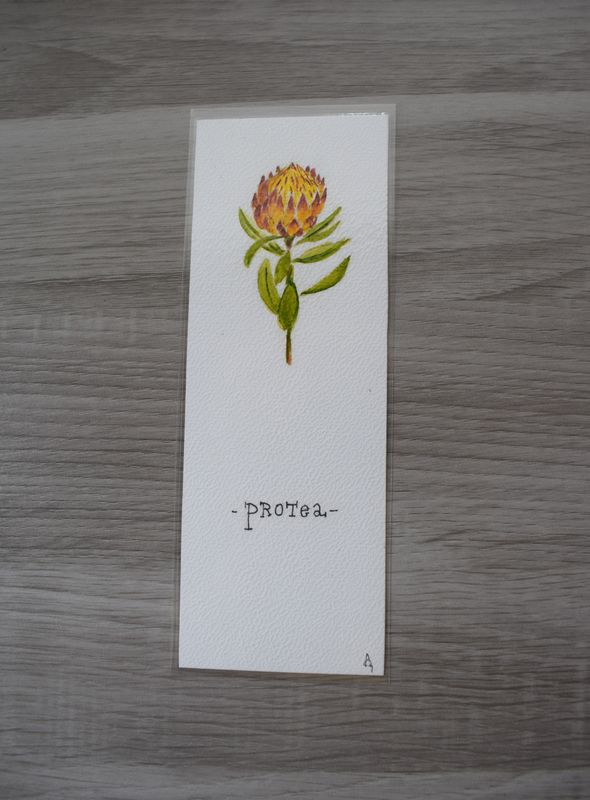 Bladwijzer protea