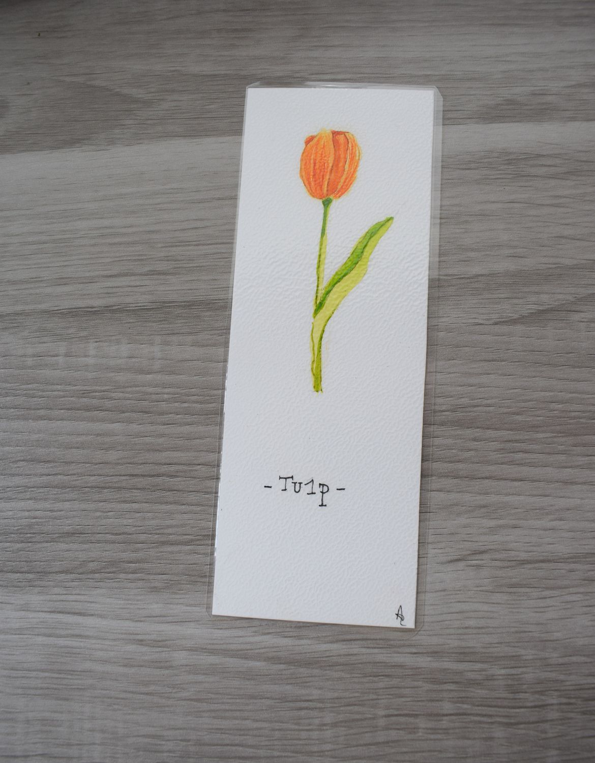 Bladwijzer tulp