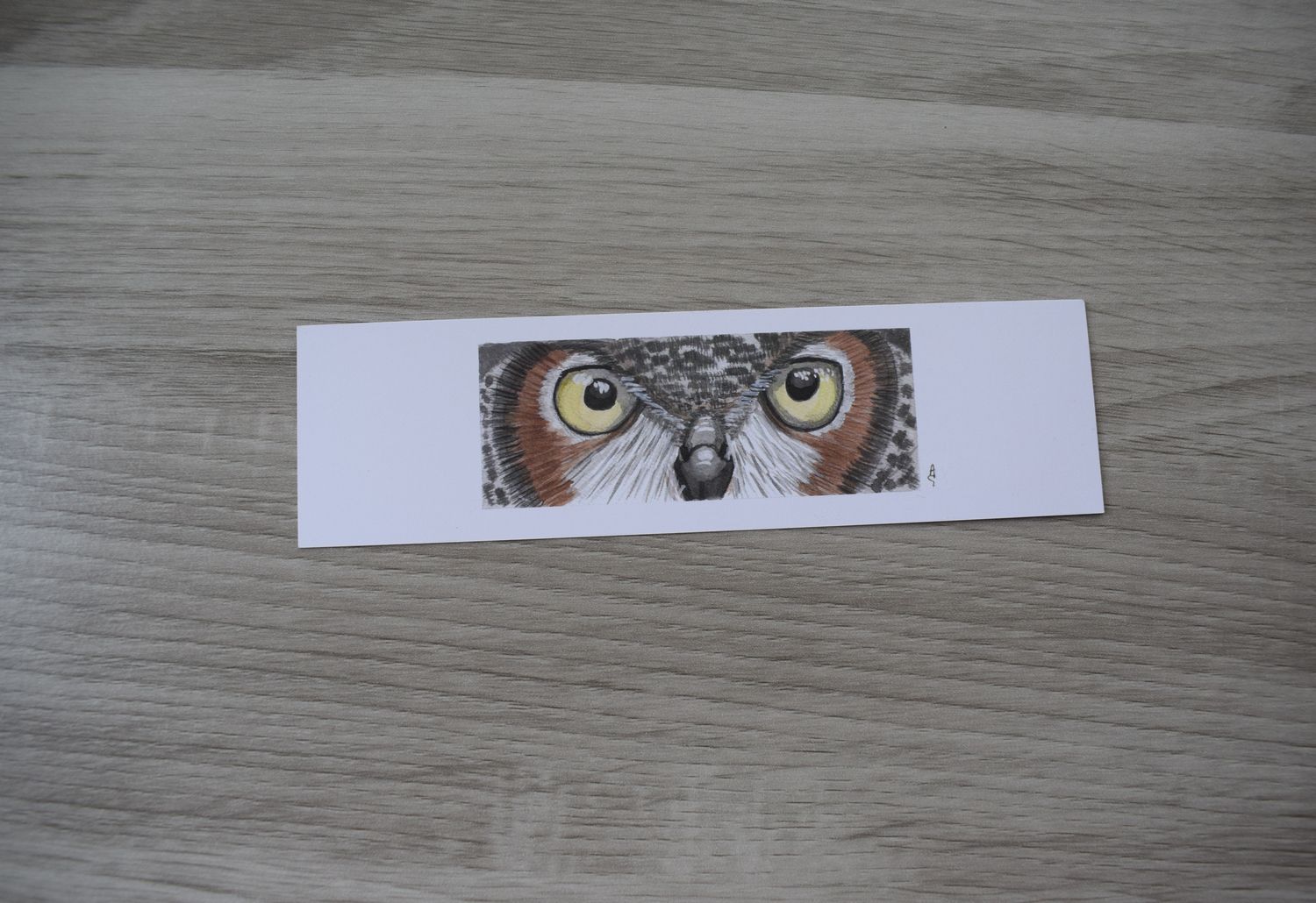 Bladwijzer uil