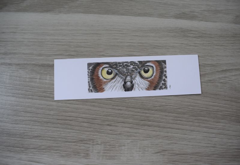 Bladwijzer uil