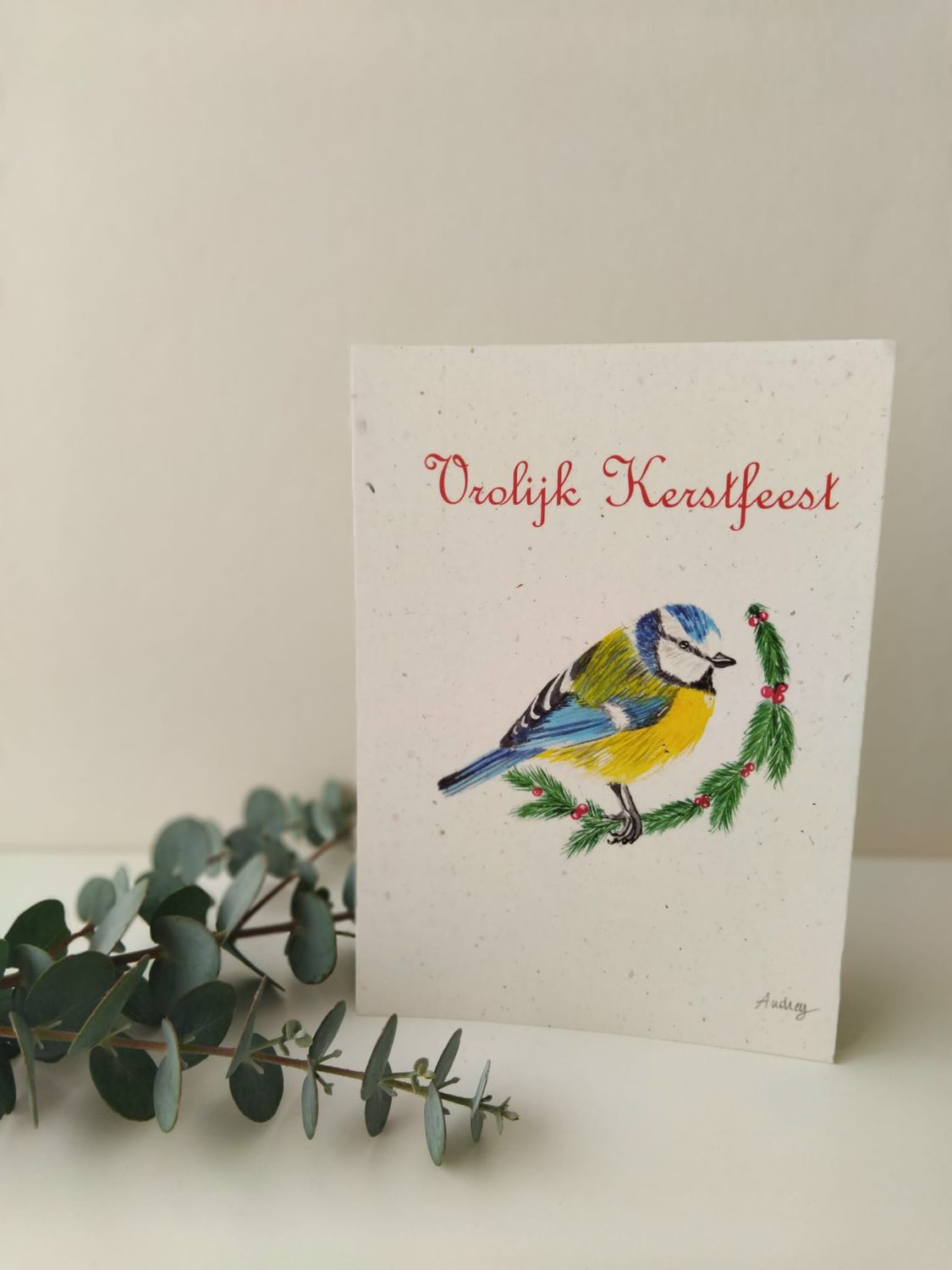 Kerstkaartje met pimpelmees