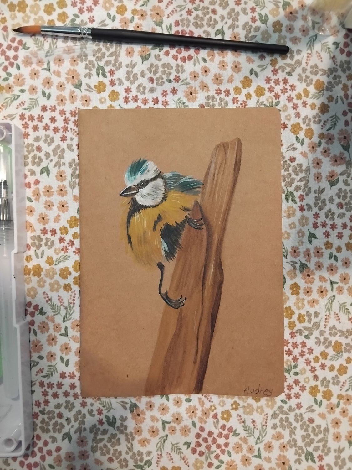 Schrift pimpelmeesje