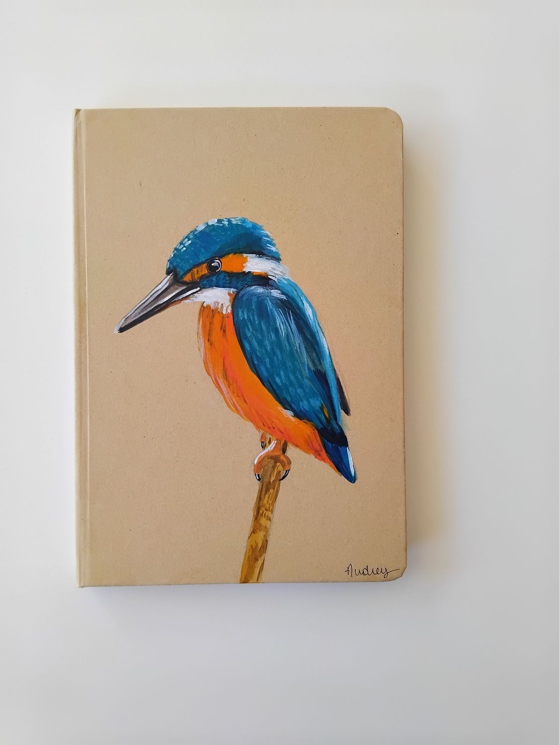 Schrift met ijsvogel
