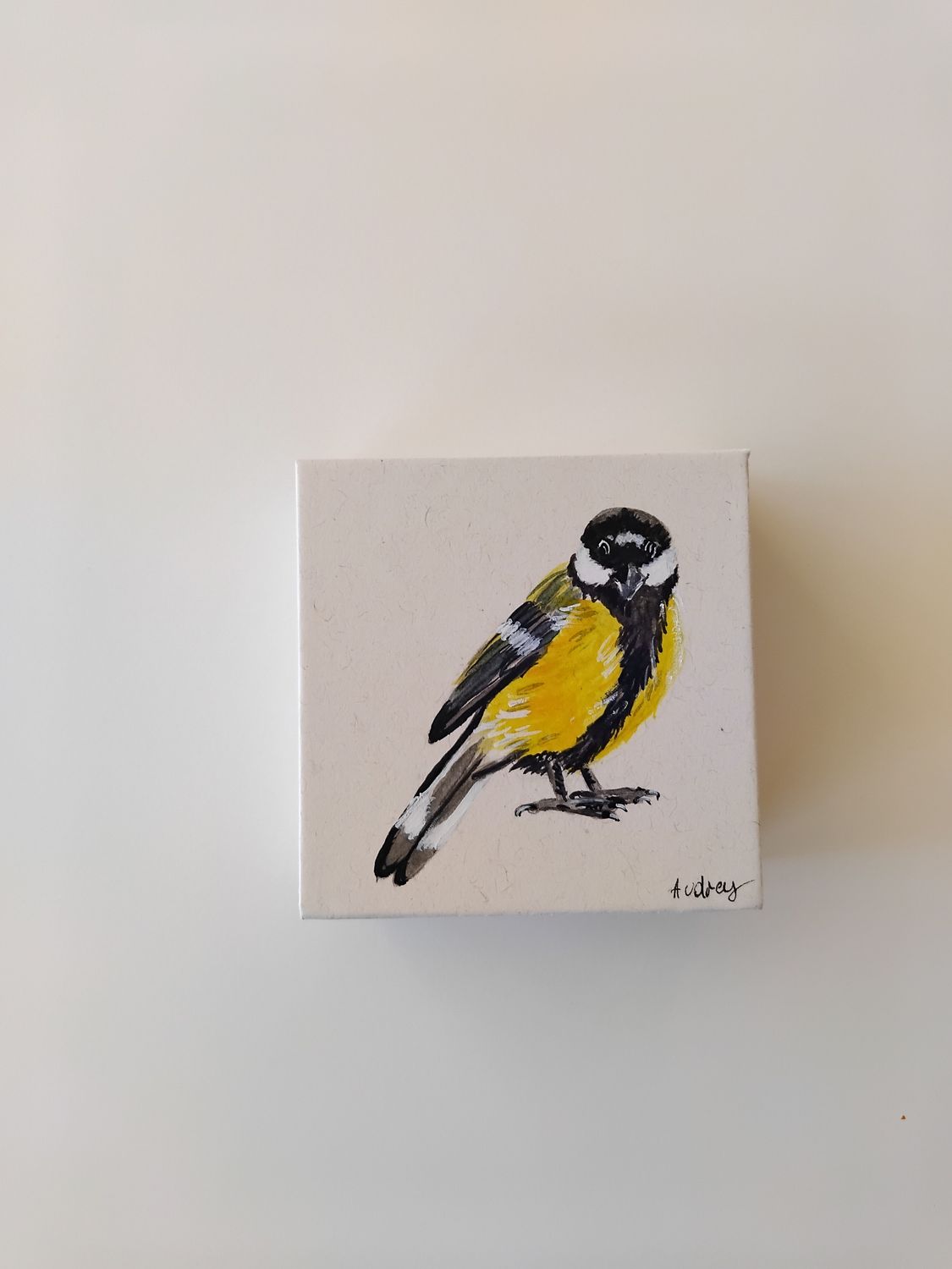 Memoblok met tekening koolmees