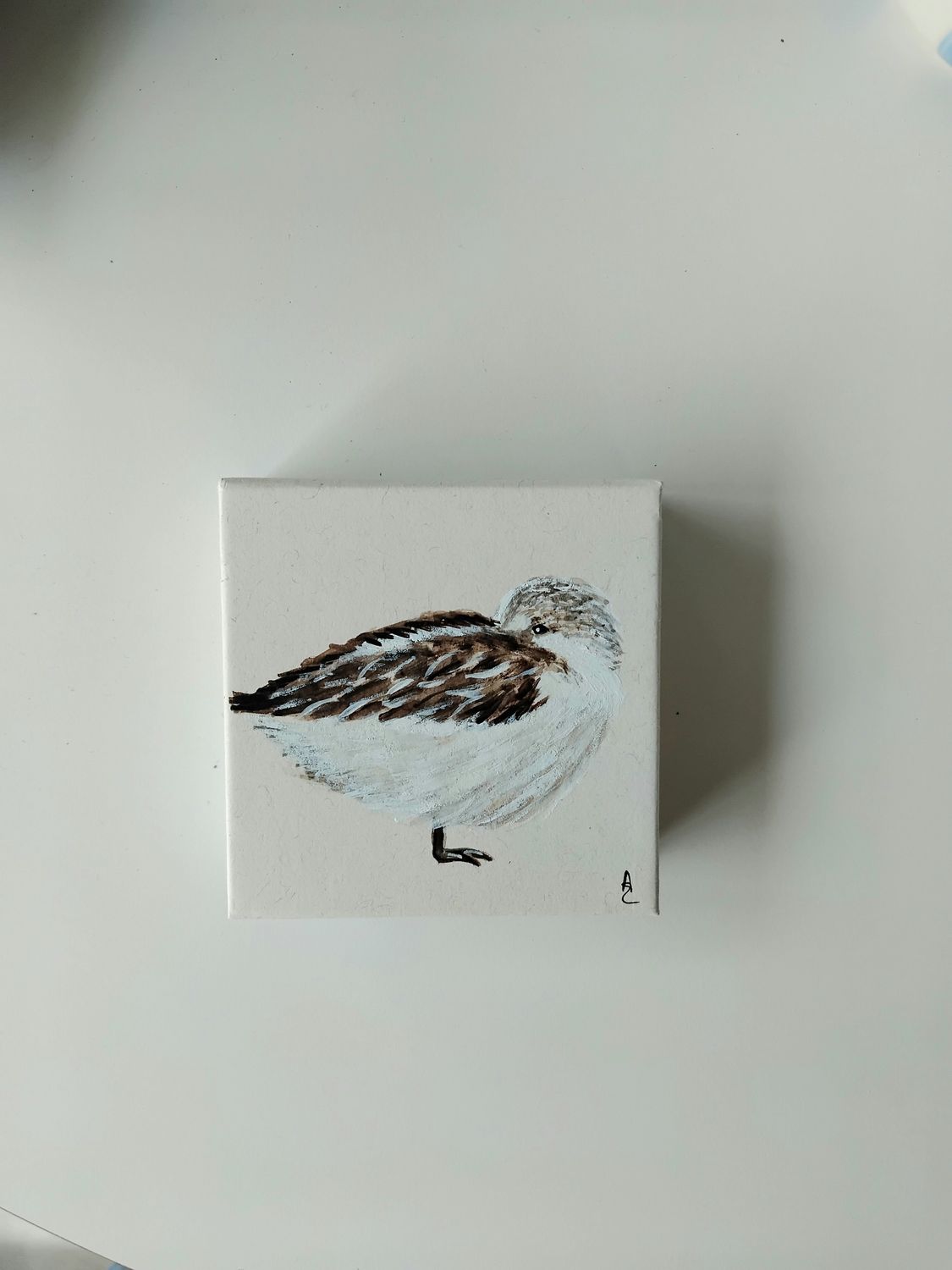 Memoblok met drietenige strandloper