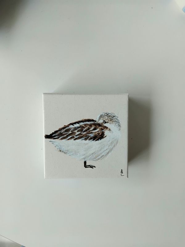 Memoblok met drietenige strandloper