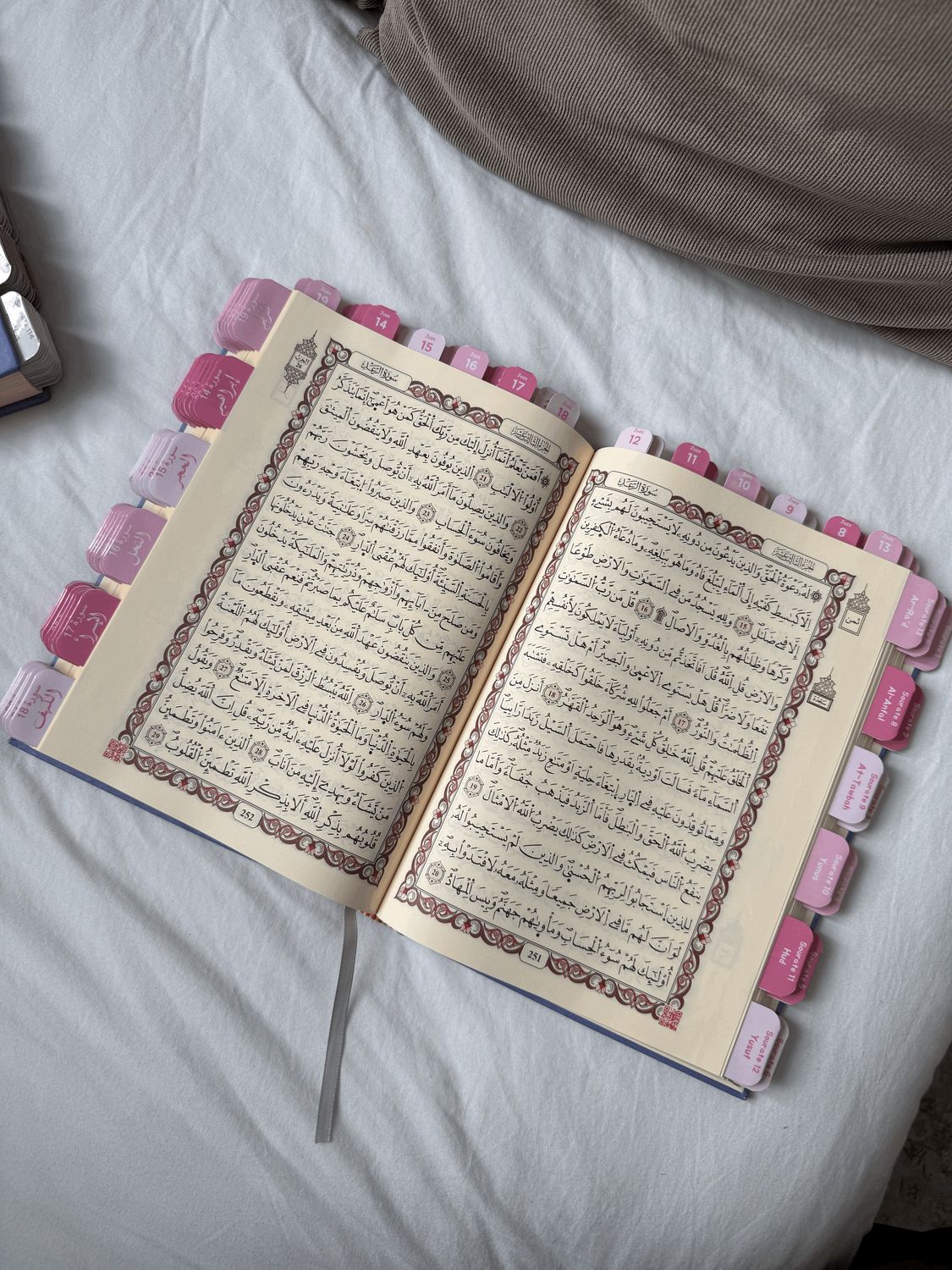 Pack (Arabic Quran) - Tabs installed