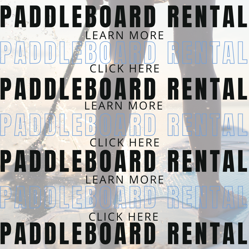 Daily Stand Up Paddle Board + Kayak Rental
