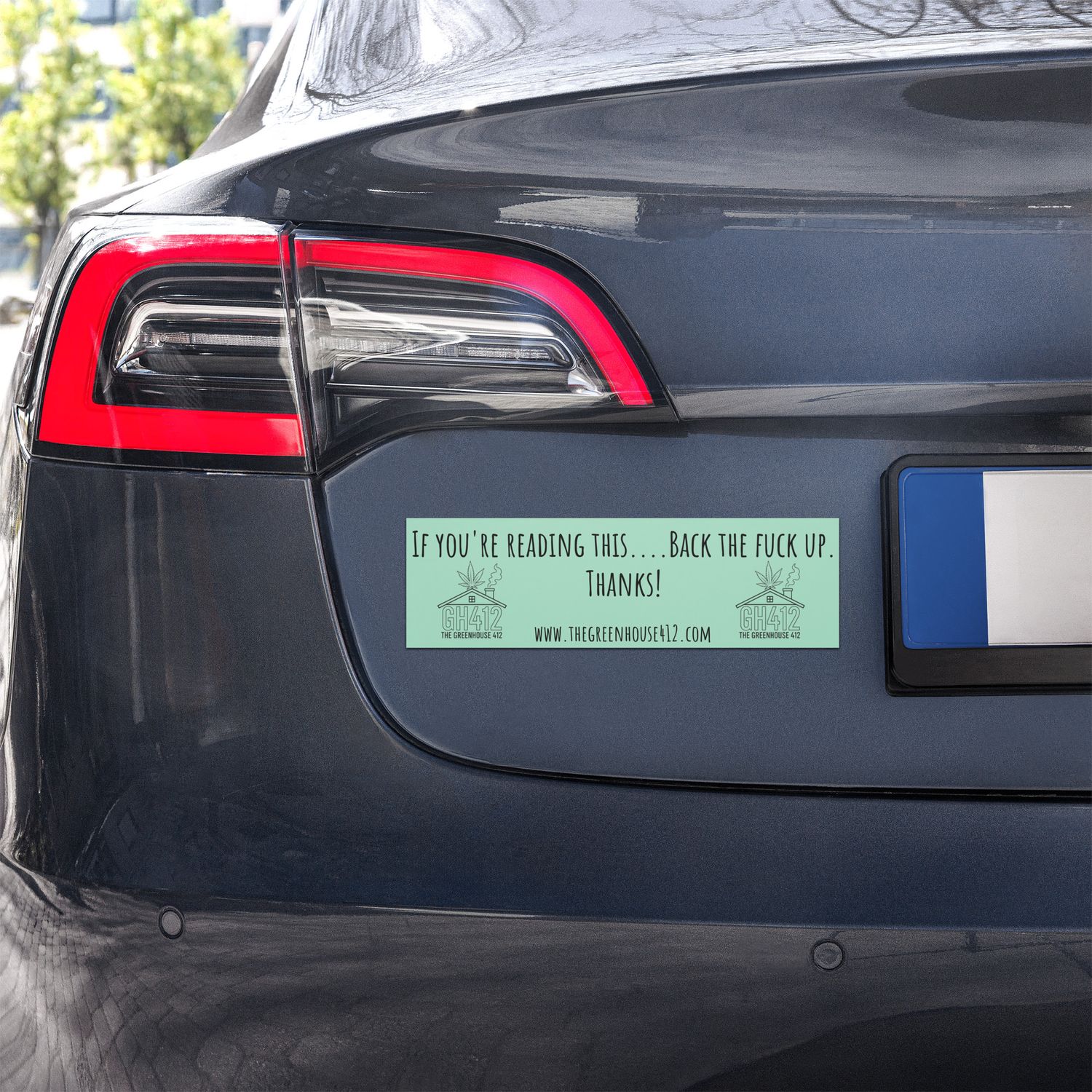 "If You're Reading This.." Car Magnet