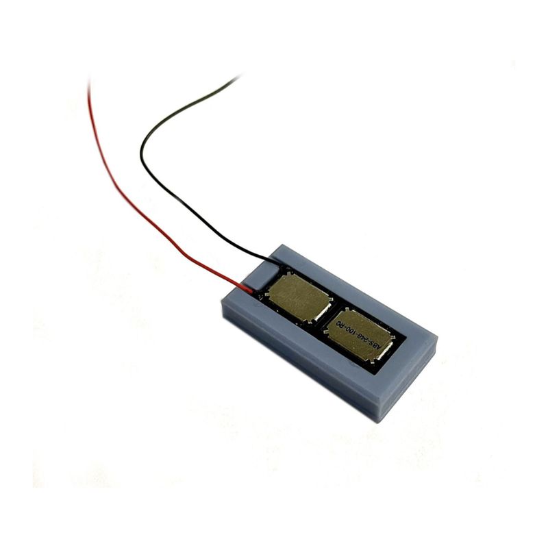 Digitrains 40x20x7mm Twin Speaker