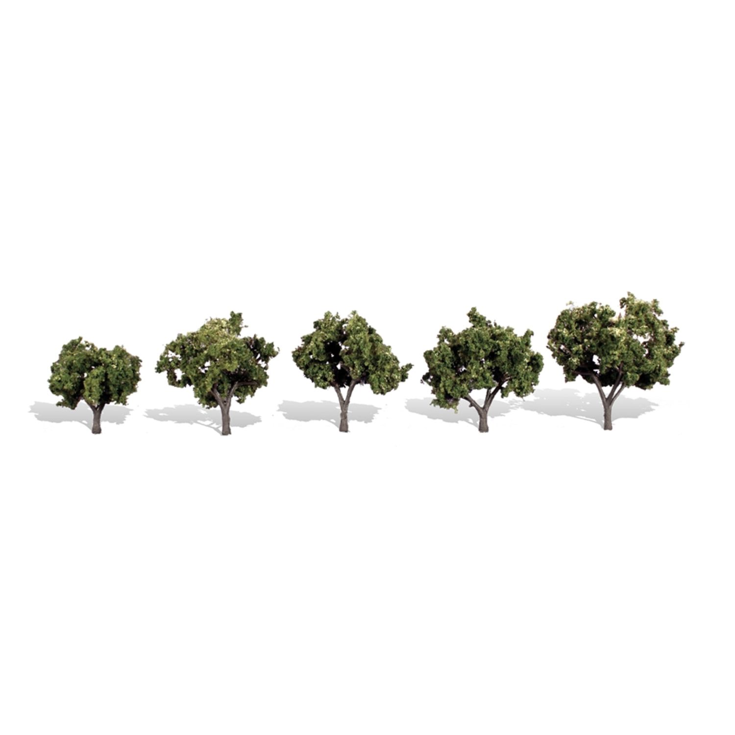 TR3502 Sun Kissed Trees (5 Pack)