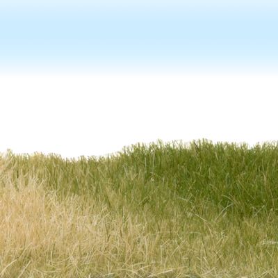 Static Grass