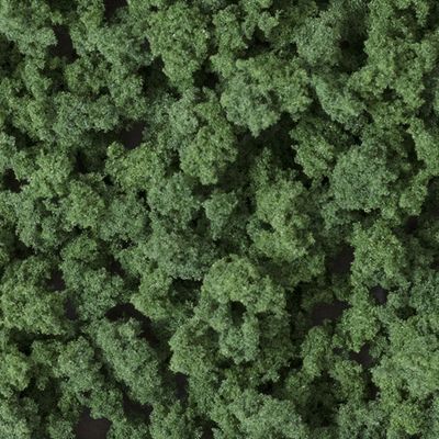 Bushes