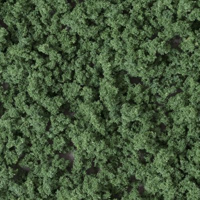 Underbrush