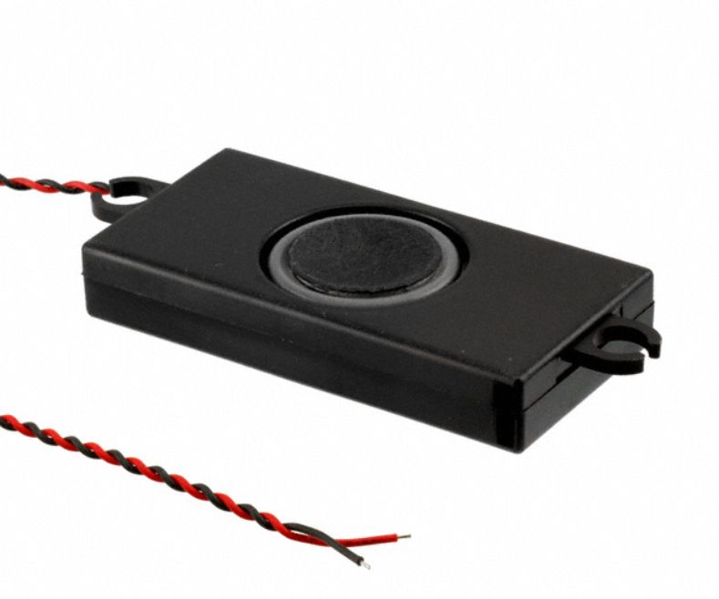 DSS60X30X10 8 Ohm 3 Watt Bass Speaker