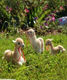 Mini Vicuna