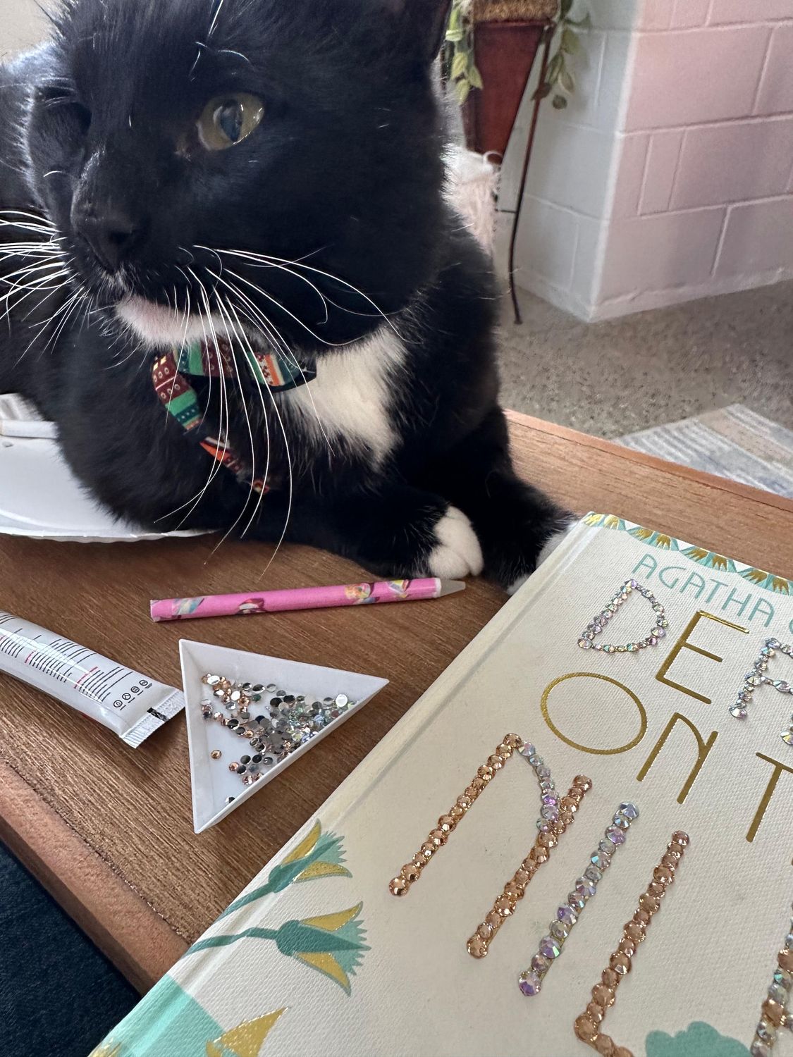 Book Bedazzling w/ Cats - 9/24/26 (6-8pm)
