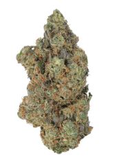 Enjoy THCA Flower - 1g