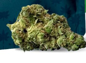 Realize Premium Flower Pouch - 5g
