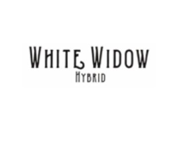 The Hemp Doctor THCA Sugar Diamond Pre-Rolls - SINGLE, Strain: White Widow