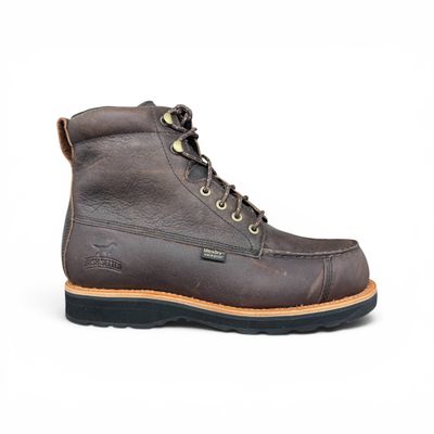 Irish Setter-A0807