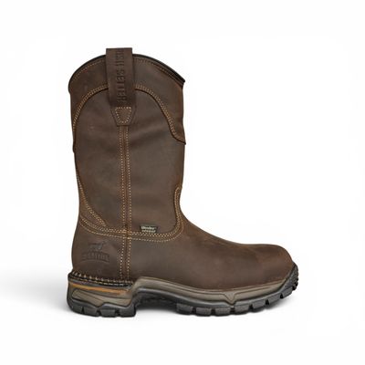 Irish Setter-83906