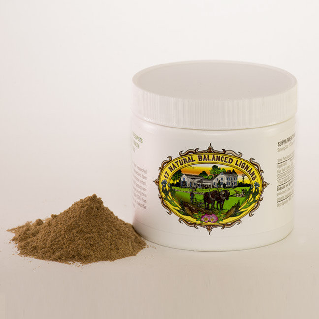 FLAX HULL LIGNAN POWDER (1 Month Supply)