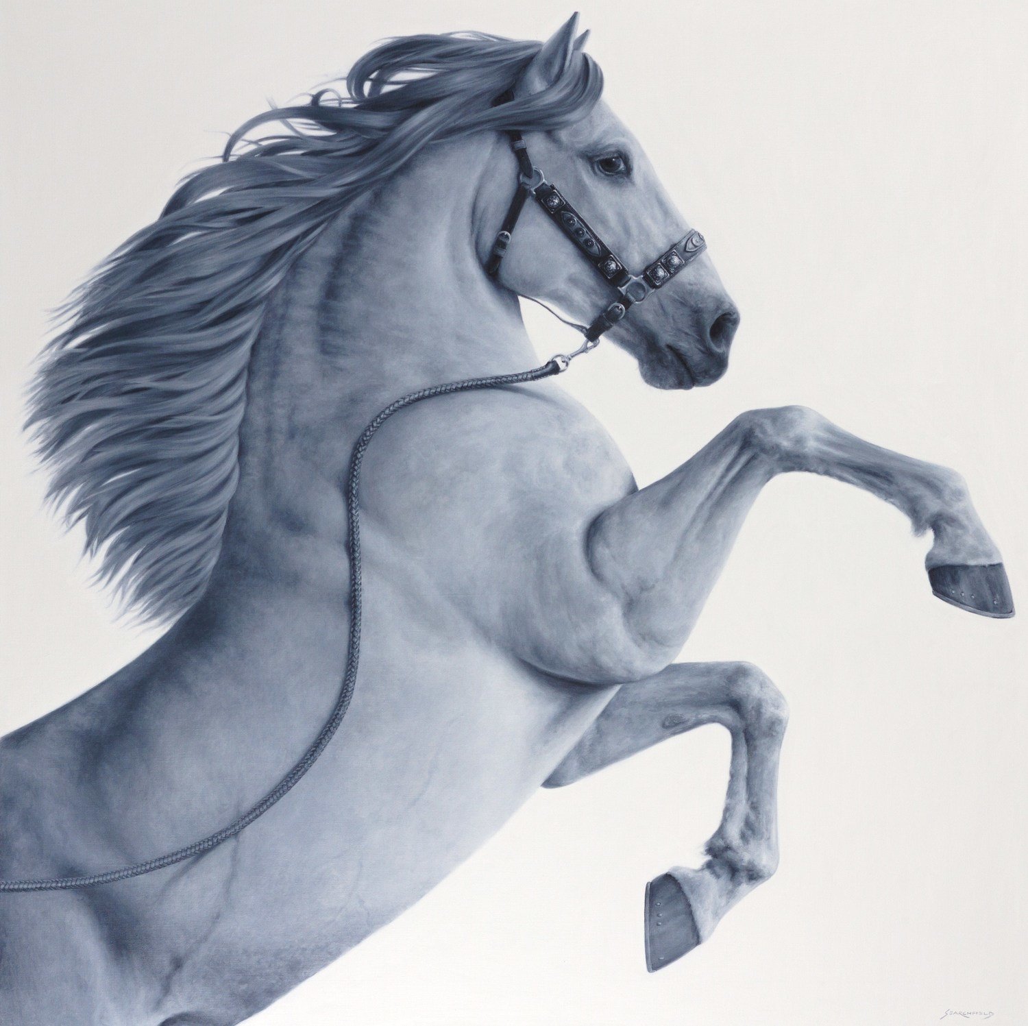 Limited Edition Print Limited Edition Print
