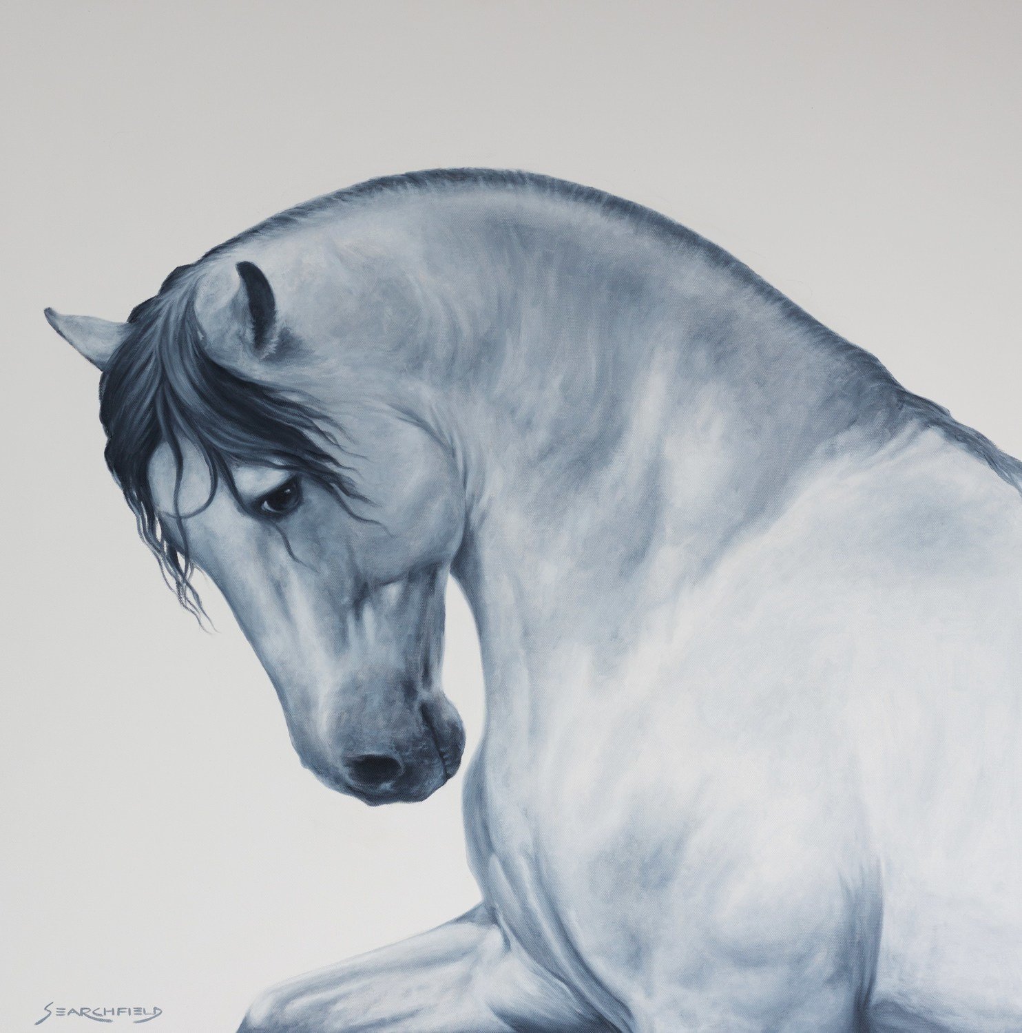 Limited Edition Print Limited Edition Print