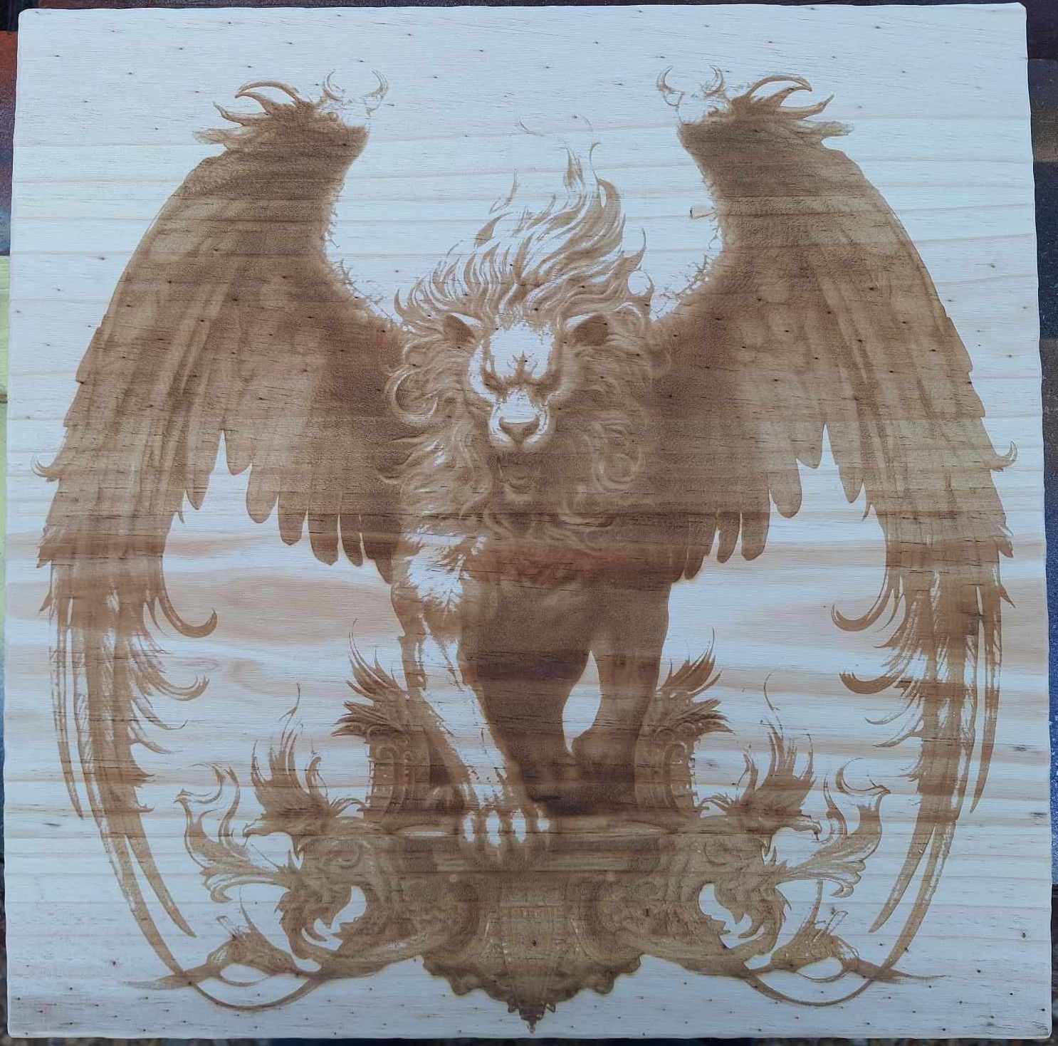 Pyrogravure laser Mandragore sur bois