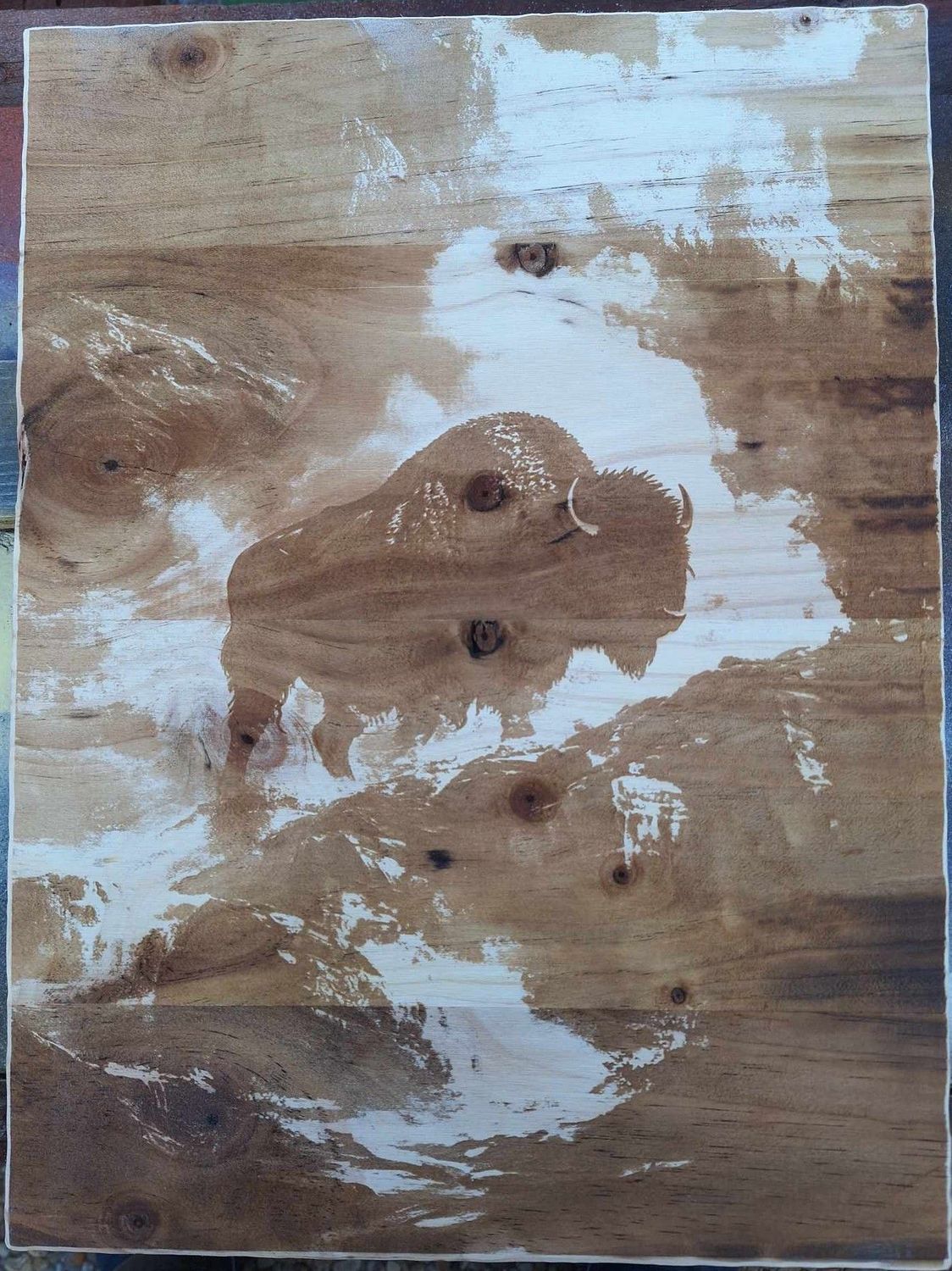 Pyrogravure laser d'un Bison sur bois