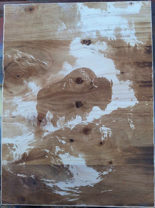 Pyrogravure laser d'un Bison sur bois