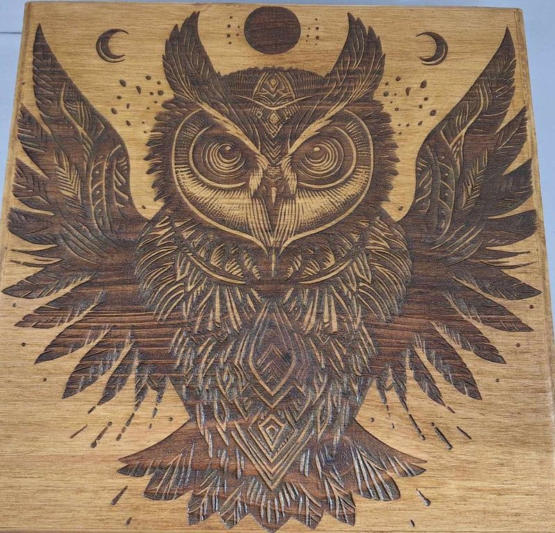 Pyrogravure laser d'un Hibou sur bois