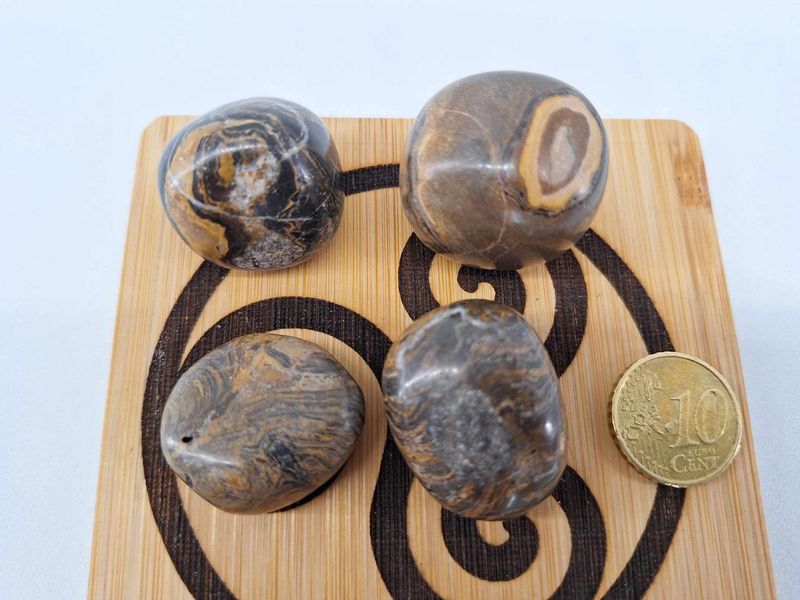 Pierre roulée Stromatolite