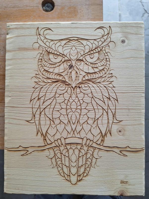 Pyrogravure laser d'un Hibou sur bois