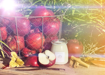 Harvest • Trindle • Organic Candle Set