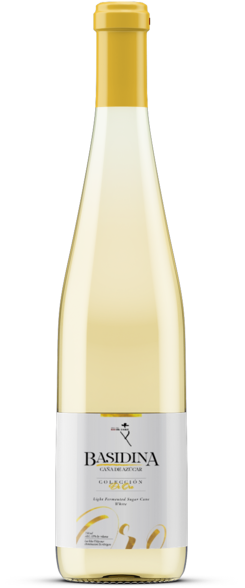 Basidina