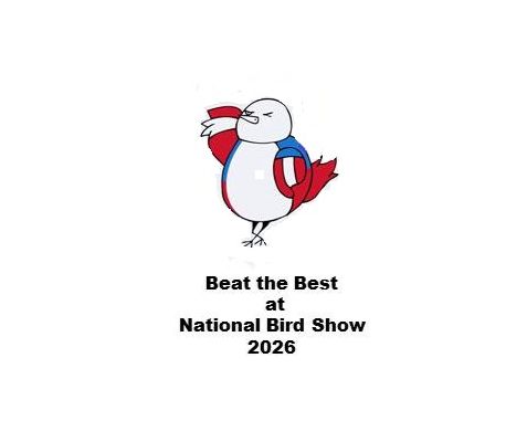 Yellow Booster Button